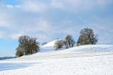 .Tumulus-Baeckerbichl-PS.jpg