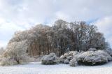 .Tumulus-bei-Wildenroth-_Isar-Loisach-Gletscher_-PS.jpg