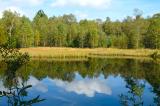 Rotes-Moor-Rhoen-Moorsee-_Stauweiher_-PS.jpg