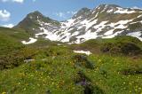 .3a-1-Kurzgrasige-alpine-Rasen-Lechquellengebirge-ca-1900m.jpg