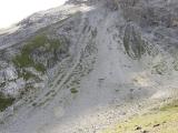 1b__Schutthalden-2300m-Vinschgau-Eismohrenfalter-PS.jpg