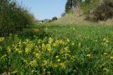 5-1-aufgelassener-Weg-Ries.jpg
