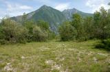 .2-Fruehes-Heidestadium-am-Mittelauf-des-Tagliamento.jpg