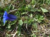 09_R_6_066.jpg