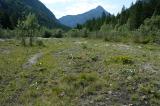1-3-Wildbachaue-Ammereinzugsgebiet.jpg