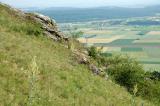 10-1-suedexponierter-steiler-trockenwarmer-Magerrasen-Hesselberg.jpg