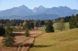 12_Moor-u.-Trockenrasen-_Bannwaldsee_.jpg
