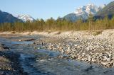 1b-2-Schneeheide-Kiefernwald-auf-Flussterrasse-bei-Forchach.jpg