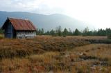 1b-3-Hochmoor-Ostallgaeu-alter-Torfabbau.jpg