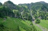 2-3-subalpiner-Wald-Kaisertal-ca-1600m-Lechtaler-Alpen.jpg