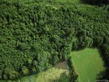 20130726_Beweidungsprojekt_005_klein-unbenannt.jpg