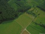 20130726_Beweidungsprojekt_009_klein-unbenannt.jpg