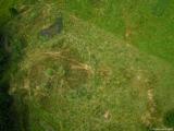 20130726_Beweidungsprojekt_015_klein-unbenannt.jpg