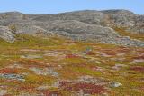 2_vom-Eis-gepraegte-Landschaft-mit-Tundravegetation-in-Nordnorwegen-_4_-PS.jpg