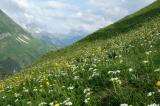 2a-1-am-Hahnleskopf-ca-1900m-Lechtaler-Alpen-Kaisers.jpg