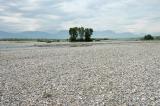 2c-1-Schwemmlingsflur--Tagliamento-bei-Spilimbergo-bea.jpg