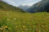 2d-1-Krabachtal-ca-1700m-Lechtaler-Alpen.jpg