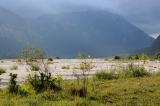 3-1-Fruehes-Heidestadium-am-Mittelauf-des-Tagliamento.jpg