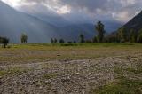 3-2-Fruehes-Heidestadium-am-Mittelauf-des-Tagliamento.jpg