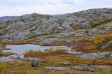 3_vom-Eis-gepraegte-Landschaft-mit-Tundravegetation-in-Nordnorwegen-_3_-PS.jpg