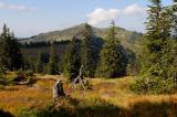 3a-1-Zwergstrauchheide-Horn.jpg