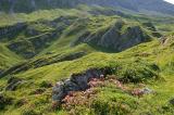 3d-1-Kurzgrasige-alpine-Rasen-beim-Gufelsee-Gramais-ca-2150-m-Lechtaler-Alpen.jpg