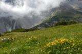 3h-1-kurzgrasige-alpine-Rasen-ueber-Hahntennjoch-ca-2000-m-Lechtaler-Alpen.jpg