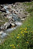 5-2--am-hochalpinen-Bach.jpg