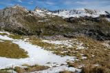 5-5-Langgrasiger-alpiner-Rasen-mit-abtauendem-Neuschnee-Lechquellengebirge.jpg