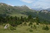 9-2-Alpweide-Graubuenden-circa-2500m--beim-Piz-Daint-Ofenpass-CH-_4_-PS.jpg