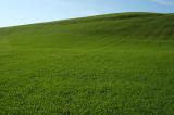 9b__Drumlin-beim-Forggensee__1_.jpg