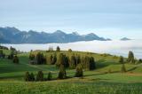 9c__Drumlin-beim-Forggensee-_2_.jpg