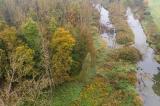 DJI_0014_Auwald-beim-Sportplatz-mit-Blick-nach-Westen.jpg