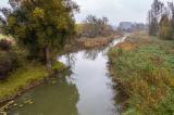 DJI_0024_Auwald-beim-Sportplatz-mit-Blick-nach-Osten.jpg