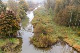 DJI_0036_Auwald-beim-Sportplatz-mit-Blick-nach-Osten.jpg