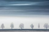 HABENICHT_Y7A9255-Bearbeitet-Bearbeitet-Bearbeitet.JPG