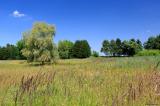 IMG_045811.jpg