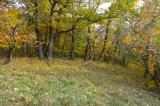 Kraeuterranken-bei-Heroldingen-Ries-Magerrasen-und-lichter-Wald--_3_-PS.jpg