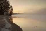 MAeHRLEIN-20121031_12011735-36_C1-2.JPG