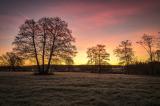 Michael_Maehrlein_-_20171123-L1004167.JPG