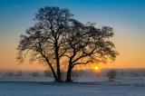 Norbert_Liesz_-_IMG_239731.JPG