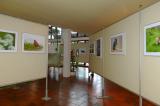 P1730508VernissageMeitingen1.jpg