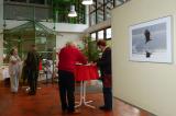 P1730509VernissageMeitingen1.jpg
