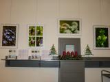 P1740785-VernissageHolzerbau1.jpg