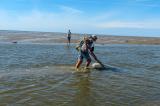 P2200434-Nordsee-Garnele.jpg
