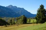 Pfeifengraswiese-Bannwaldsee-gemaeht.jpg
