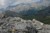 Raetischer-Alpen-Mohn-EP-11.jpg