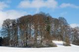 Weiterer-Tumulus-beim-Baeckerbichl-_Isar-Loisach-Gletscher_-PS.jpg