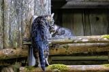 _V9A6303-Verbessert-RR-Bearbeitet-2-PS.jpg