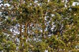_V9A9493-Verbessert-RR-Bearbeitet-PS.jpg